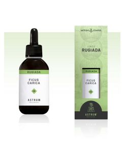 Astrum Ficus Carica Rugiada