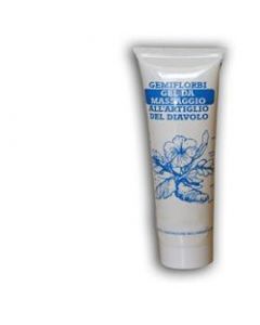 Gemiflorbi Gel Artig Diav 100g