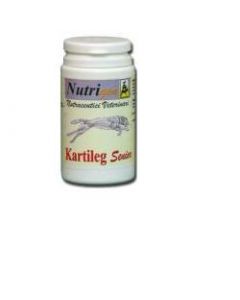 Kartileg Senior 30tav