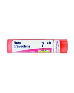 Ruta Graveolens*7ch 80gr 4g