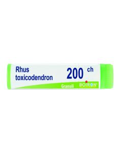 Rhus Toxicodendron*200ch Gr 1g