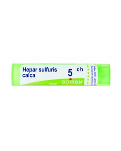 Hepar Sulfuris Calcareum*80 Granuli 5 Ch Contenitore Multidose