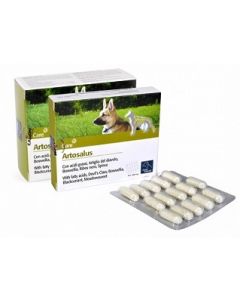 Artosalus Orme Nat 60cpr