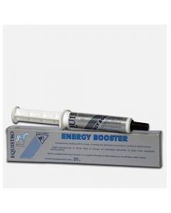 Energy Booster Equistro 20g