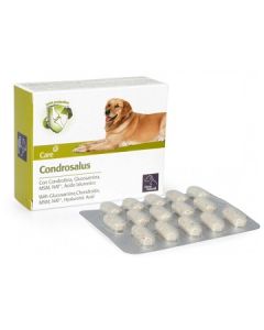 Condrosalus Orme Nat 60cpr