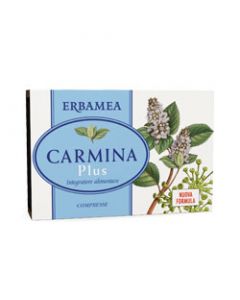 Carmina Plus 24cpr 19,2g