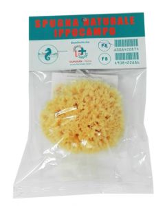 Spugna Naturale Ippocampo 6