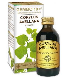 Nocciolo 100ml Analco Gem 10+