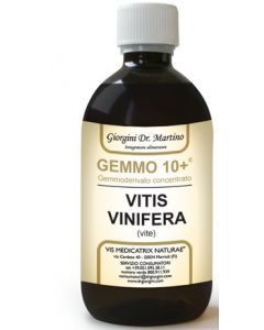 Vite Liq Analco Gemmo10+ 100ml