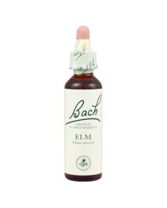 Bach Center Ess Olive 20ml