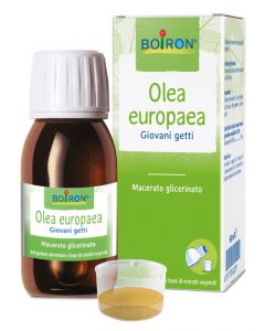 Olea Europaea Mg 60ml Int