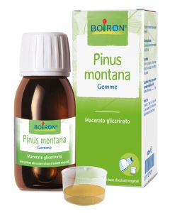 Pinus Montana Mg 60ml Int