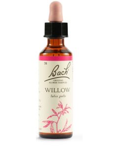 Willow Bach Orig 20 Ml