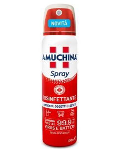 Amuchina Spray Amb/ogg/te100ml