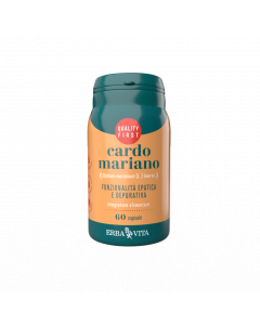 Cardo Mariano 60cps