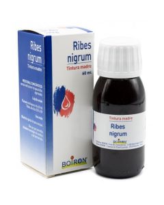 Ribes Nigrum 60 ml tintura madre