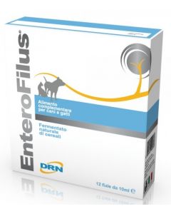 Drn Enterofilus 12 Fiale Da 250ml