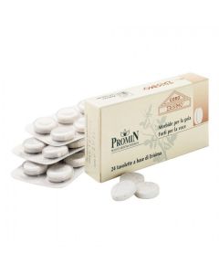 Coro Erisimo 24 Compresse 28,8 G