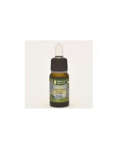 Map Nasyamap Olio Gocce 10ml