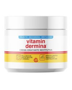 Vitamindermina Crema Idra400ml
