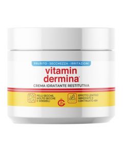 Vitamindermina Crema Idra400ml
