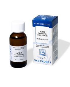 Acer Campestre 100ml Mg