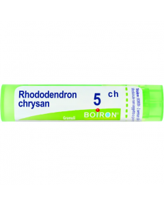 Rhododendron Chrysan 5ch Granuli