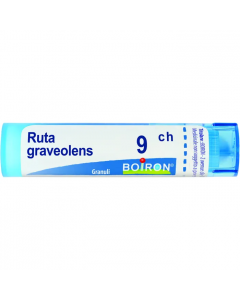 Ruta Graveolens*9ch 80gr 4g