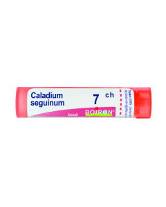 Caladium Seguinum*80 Granuli 7 Ch Contenitore Multidose