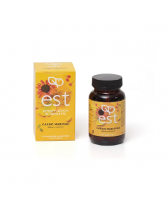 Cardo Mariano Es 60tav