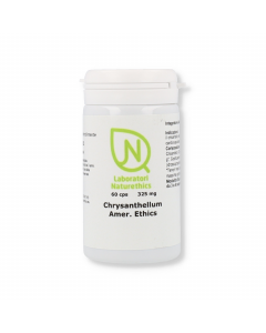 Chrysantellum Am Ethics 60cps