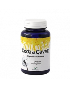 Coda Di Cavallo Equiseto 60cps