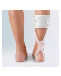 Molla Codivilla Dx U