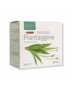 Piantaggine 15ampolle