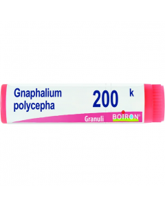 Gnaphalium Polycephal 200k Globuli