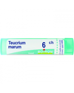 Teucrium Marum*80 Granuli 6 Ch Contenitore Multidose