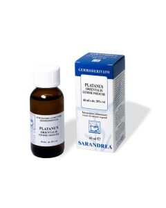 Platanus Orientalis 100ml Mg