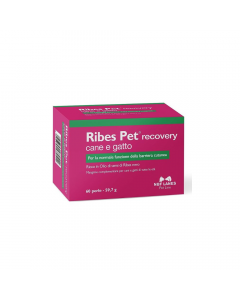 Ribes Pet Recovery 60 Compresse
