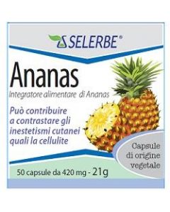 Ananas Estratto Secco 100g