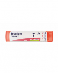 Teucrium Marum*80 Granuli 7 Ch Contenitore Multidose