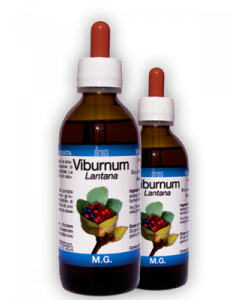 Viburnum Lantana 50ml Mg