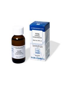 Vitis Vinifera 100ml Mg
