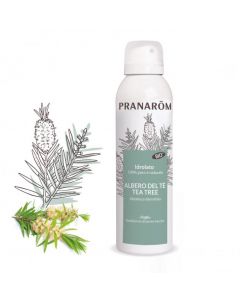 Pranarom Idrolato Albero Te